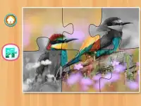 Real Bird Jigsaw Puzzles Screen Shot 1