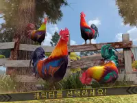 닭 싸움 수탉 Wild Rooster Run Screen Shot 8