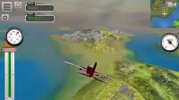 Flight Sim Passenger Plane Screen Shot 1