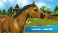 Horse Hotel - Уход за лошадьми Screen Shot 5