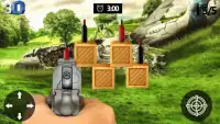 اطلاق النار على الهدف الحقيقي زجاجة 3D اطلاق النار Screen Shot 1
