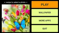 Butterflies Puzzle   Wallpaper Screen Shot 6