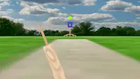 Sports : Cricket Batting Demo Screen Shot 3