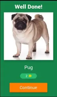 인기있는 Dog Breed Quiz Screen Shot 1