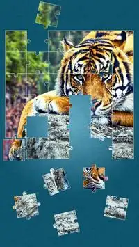 Tiger Puzzle-Spiele Screen Shot 9