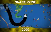 Worm Snake zone : Worm Mate snake Screen Shot 1