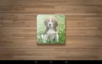 Dog Puzzle Games Free Screen Shot 5