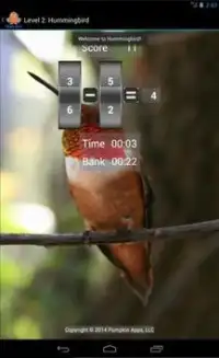 Math Bird Screen Shot 11