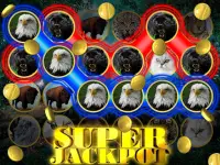 Wild Cat Slot: Real Jackpot &  Screen Shot 7