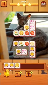 Cat match puzzle: block puzzle Screen Shot 2