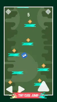 Tiny Cube Jump – Cube Survival Hop Jump Screen Shot 4