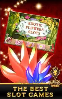 Exotic Flowers Slots Screen Shot 8