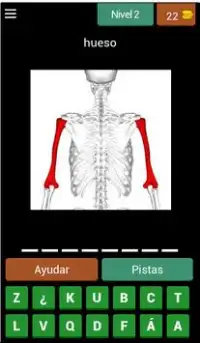 Quiz de Anatomía Screen Shot 2