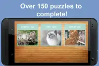 Cat and Kitten Jigsaw Puzzles Screen Shot 1