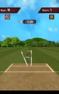 Flick Cricket 3D T20 World Cup Screen Shot 7