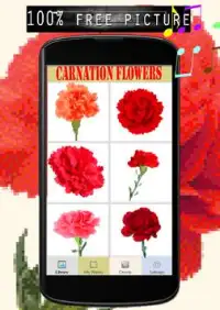 Carnation Flowers Color By Number-Pixel Art Screen Shot 1