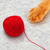 Threads for cat toy