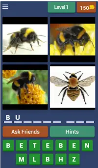 4 Pics 1 Animal Screen Shot 0