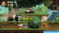 Panda Run Screen Shot 2