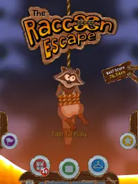 Raccoon Escape Screen Shot 8