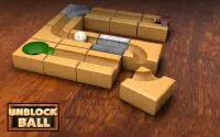 Unblock Ball - Block Puzzle Screen Shot 9