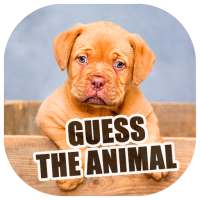 Guess the animal and earn money