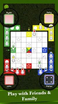 Ludo Fun - Free Astha Chama Board Game Screen Shot 2