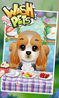 Wash Pets - kids games Screen Shot 3