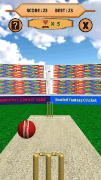 Bowled 3D - Cricket Game Screen Shot 8