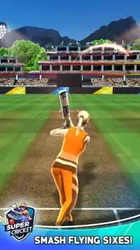 Woman Cricket Games - Quick Batting Screen Shot 1