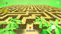 Labirinto 3D II 💎 Screen Shot 0