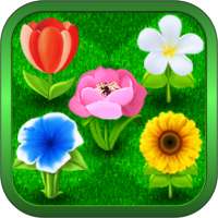 Flowers - 3 Puzzle Colorful Game