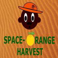 Space - Orange Harvest 1000XP Portable