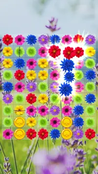 Flower Blossom Crush: Garden Puzzle Mania Match 3 Screen Shot 11