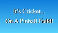 Cricket Twenty20 : Pinball Challenge Screen Shot 0