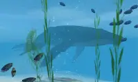 Shark VR sharks games for VR Screen Shot 1