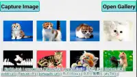 Cats and Kittens Puzzle Screen Shot 4