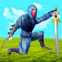 Ninja Warriors: Assassin Creed