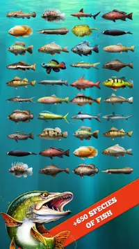 Let's Fish: Fishing Simulator Screen Shot 8