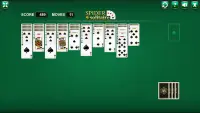 Spider Solitaire Screen Shot 3