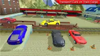 Crazy Train Car Cargo Duty Driver 3D Sim Game Screen Shot 0