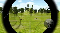 Sniper Vs Lion Vs Deer Screen Shot 6