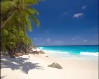 Seychelles rompecabezas Screen Shot 4