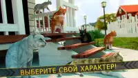 🐾 Игры Кошка Симулятор 3д 🐾 Screen Shot 11