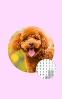 Dog Photography Color By Number Pixel Art Screen Shot 3