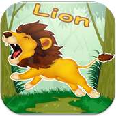 Super Lion Safari