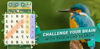 Word Search Nature Puzzle Game Screen Shot 5