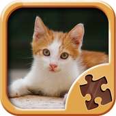 Kitty Puzzle Permainan - Teka-teki Lucu