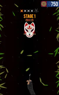 Shinobi Ninja Crash Screen Shot 5