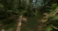 Green Hell Survival Spirits Of Amazonia Tips Screen Shot 3